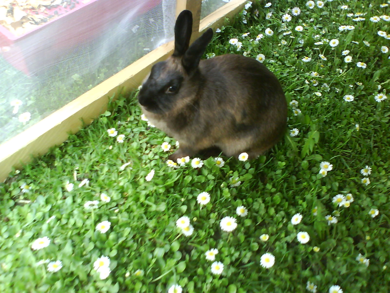 DSC00185.JPG