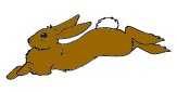 Obrázok