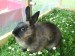 DSC00187.JPG