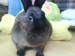 DSC00569.JPG