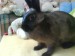 DSC00570.JPG